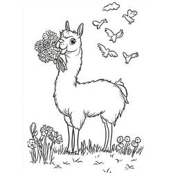 Dessin à colorier: Lama (Animaux) #217831 - Coloriages à Imprimer Gratuits