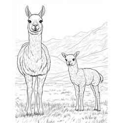 Dessin à colorier: Lama (Animaux) #217833 - Coloriages à Imprimer Gratuits
