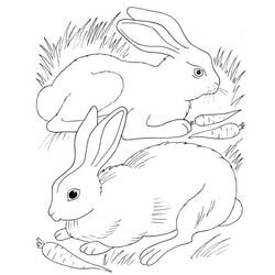 Coloriage Lapin (Animaux) #177177 à imprimer et colorier