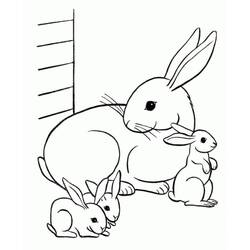 Coloriage Lapin (Animaux) #177178 à imprimer et colorier