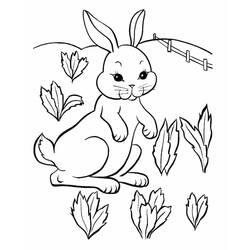 Coloriage Lapin (Animaux) #177179 à imprimer et colorier