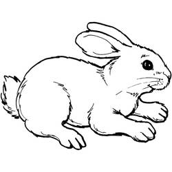 Coloriage Lapin (Animaux) #177190 à imprimer et colorier