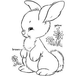Coloriage Lapin (Animaux) #177204 à imprimer et colorier