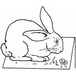 Coloriage Lapin (Animaux) #177206 à imprimer et colorier