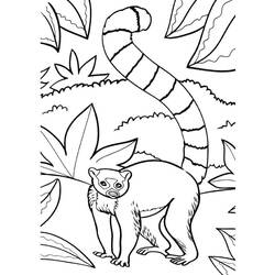 Dessin à colorier: Lémurien (Animaux) #219683 - Coloriages à Imprimer Gratuits