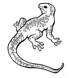 Dessin à colorier: Lézard (Animaux) #179638 - Coloriages à Imprimer Gratuits