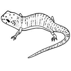 Coloriage Lézard (Animaux) #179642 à imprimer et colorier