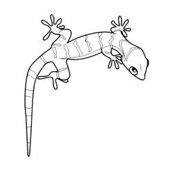 Dessin à colorier: Lézard (Animaux) #179648 - Coloriages à Imprimer Gratuits