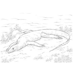 Dessin à colorier: Lézard (Animaux) #217856 - Coloriages à Imprimer Gratuits