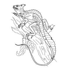 Dessin à colorier: Lézard (Animaux) #217858 - Coloriages à Imprimer Gratuits