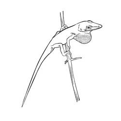 Dessin à colorier: Lézard (Animaux) #217868 - Coloriages à Imprimer Gratuits