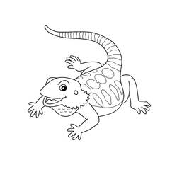 Dessin à colorier: Lézard (Animaux) #217870 - Coloriages à Imprimer Gratuits