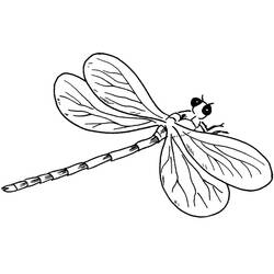 Coloriage Libellule (Animaux) #196578 à imprimer et colorier