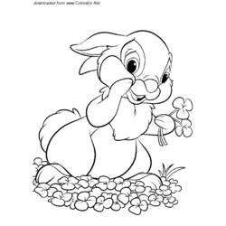 Dessin à colorier: Lièvre (Animaux) #10126 - Coloriages à Imprimer Gratuits