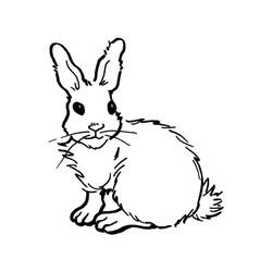 Coloriage Lièvre (Animaux) #209019 à imprimer et colorier