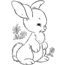 Coloriage Lièvre (Animaux) #209023 à imprimer et colorier