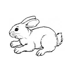 Coloriage Lièvre (Animaux) #209032 à imprimer et colorier