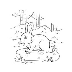 Coloriage Lièvre (Animaux) #209033 à imprimer et colorier