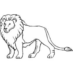 Dessin à colorier: Lion (Animaux) #10292 - Coloriages à imprimer