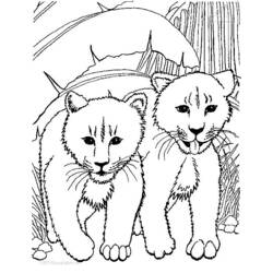 Dessin à colorier: Lion (Animaux) #10296 - Coloriages à Imprimer Gratuits