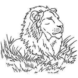 Dessin à colorier: Lion (Animaux) #10349 - Coloriages à Imprimer
