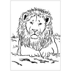 Coloriage Lion (Animaux) #174882 à imprimer et colorier