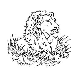 Coloriage Lion (Animaux) #174887 à imprimer et colorier