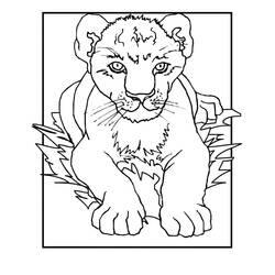 Coloriage Lion (Animaux) #174890 à imprimer et colorier