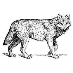 Dessins à colorier: Loup - Coloriages à imprimer