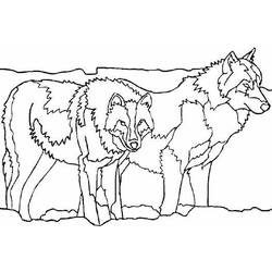 Dessin à colorier: Loup (Animaux) #10535 - Coloriages à Imprimer Gratuits