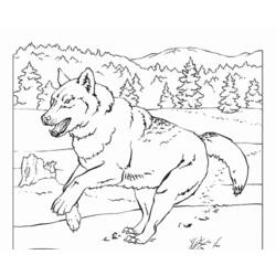 Dessin à colorier: Loup (Animaux) #10543 - Coloriages à Imprimer Gratuits