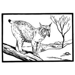 Dessin à colorier: Lynx (Animaux) #10805 - Coloriages à Imprimer
