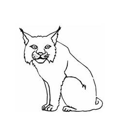 Dessin à colorier: Lynx (Animaux) #10807 - Coloriages à Imprimer
