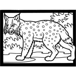 Dessin à colorier: Lynx (Animaux) #10810 - Coloriages à imprimer