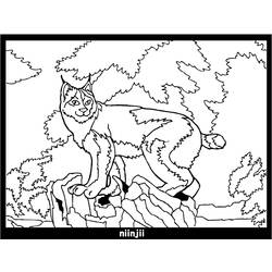 Dessin à colorier: Lynx (Animaux) #10814 - Coloriages à imprimer