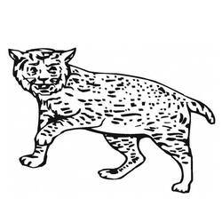 Dessin à colorier: Lynx (Animaux) #10816 - Coloriages à Imprimer