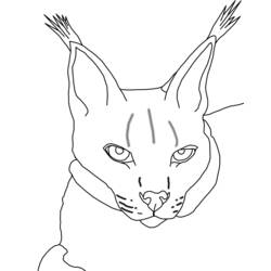 Dessin à colorier: Lynx (Animaux) #10828 - Coloriages à imprimer