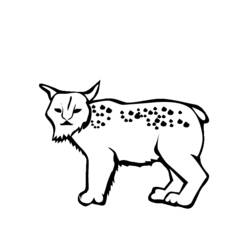 Dessin à colorier: Lynx (Animaux) #10829 - Coloriages à Imprimer