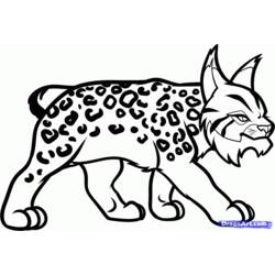 Dessin à colorier: Lynx (Animaux) #10840 - Coloriages à imprimer