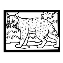 Dessin à colorier: Lynx (Animaux) #10851 - Coloriages à Imprimer