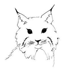 Dessin à colorier: Lynx (Animaux) #189220 - Coloriages à Imprimer Gratuits