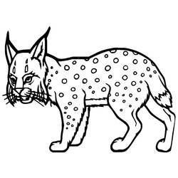 Dessin à colorier: Lynx (Animaux) #189223 - Coloriages à Imprimer Gratuits