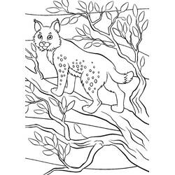 Dessin à colorier: Lynx (Animaux) #189224 - Coloriages à Imprimer Gratuits