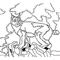 Dessin à colorier: Lynx (Animaux) #189225 - Coloriages à Imprimer Gratuits