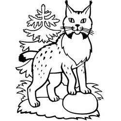 Dessin à colorier: Lynx (Animaux) #189227 - Coloriages à Imprimer Gratuits