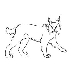 Dessin à colorier: Lynx (Animaux) #189230 - Coloriages à Imprimer Gratuits