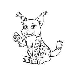 Dessin à colorier: Lynx (Animaux) #189232 - Coloriages à Imprimer Gratuits
