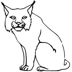 Dessin à colorier: Lynx (Animaux) #189236 - Coloriages à Imprimer Gratuits