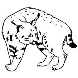 Dessin à colorier: Lynx (Animaux) #189240 - Coloriages à Imprimer Gratuits