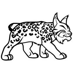 Dessin à colorier: Lynx (Animaux) #189241 - Coloriages à Imprimer Gratuits
